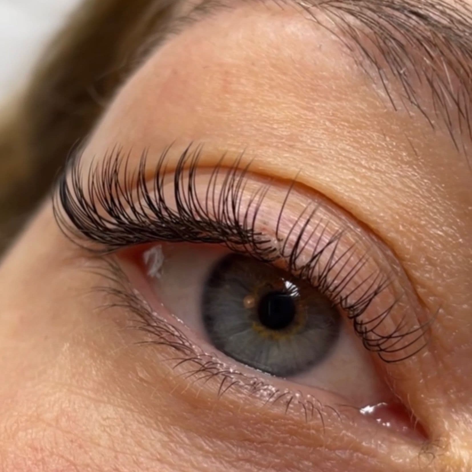 Illustration Formation Complete en Extensions de Cils Pose Classique